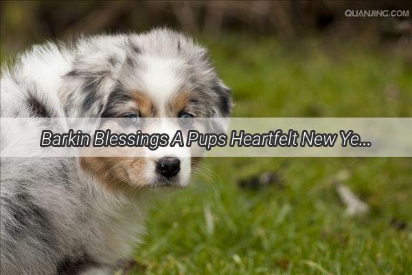 Barkin Blessings A Pups Heartfelt New Year Greetings to the Family